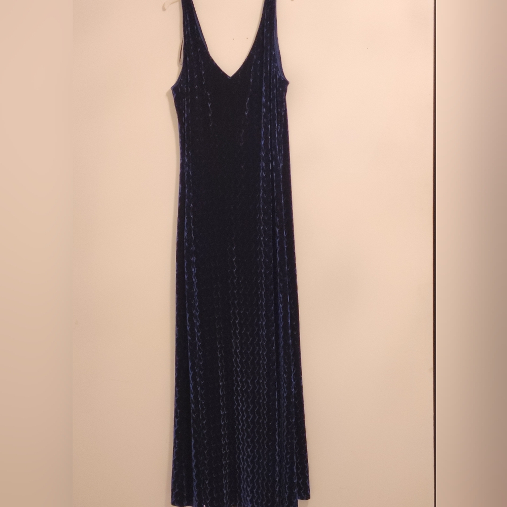 JSC Velvet maxi dress